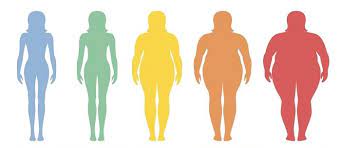 Почему с возрастом мы быстрее набираем лишний вес