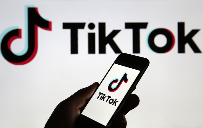Сотрудникам госорганов и частных компаний Чехии запретили использовать TikTok